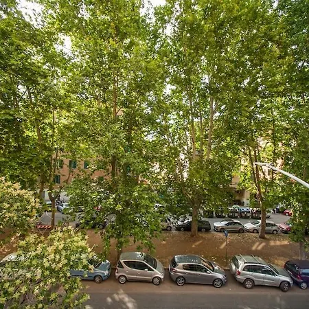 Great In Great Location Rom